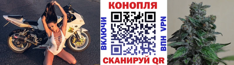 Шишки марихуана OG Kush  Велиж 
